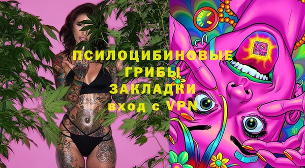 прущий лед Армянск