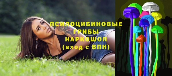 прущий лед Армянск