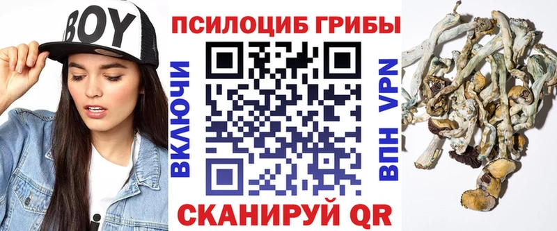 Псилоцибиновые грибы Psilocybine cubensis  сколько стоит  Билибино 