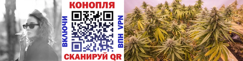 МАРИХУАНА Amnesia  Билибино 